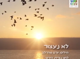 לא נעצור-שירים ליום העצמאות בתוספת כתוביות