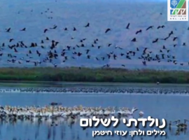 נולדתי לשלום - שירים ליום העצמאות בתוספת כתוביות