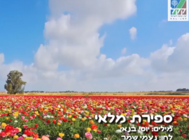 ספירת מלאי - שירים ליום העצמאות בתוספת כתוביות