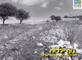 נוף ילדות - שירים ליום העצמאות בתוספת כתוביות