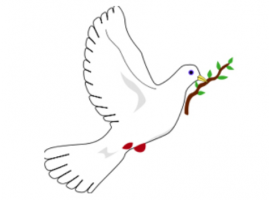 שיר ליום העצמאות הורה ממטרה - דודו זכאי