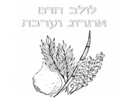 דפי צביעה ארבעת המינים