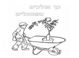 דפי צביעה כך הולכים השותלים