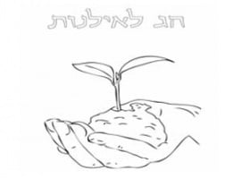 תמונה לצביעה לחג טו בשבט